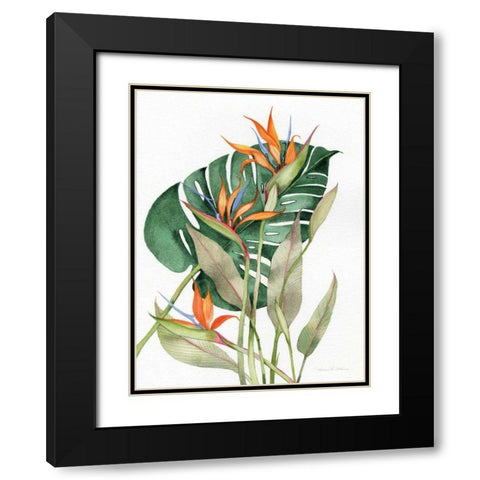 Botanical Birds of Paradise Black Modern Wood Framed Art Print with Double Matting by McKenna, Kathleen Parr