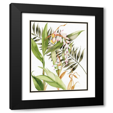 Botanical Shell Ginger Crop Black Modern Wood Framed Art Print with Double Matting by McKenna, Kathleen Parr