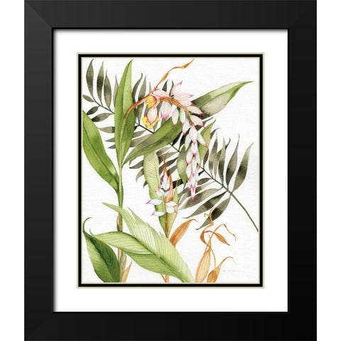 Botanical Shell Ginger Crop Black Modern Wood Framed Art Print with Double Matting by McKenna, Kathleen Parr