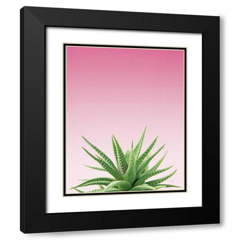 Succulent Simplicity I Pink Ombre Crop Black Modern Wood Framed Art Print with Double Matting by Bradley, Felicity