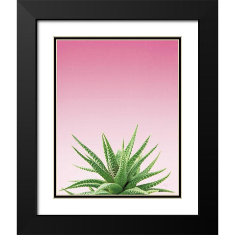 Succulent Simplicity I Pink Ombre Crop Black Modern Wood Framed Art Print with Double Matting by Bradley, Felicity