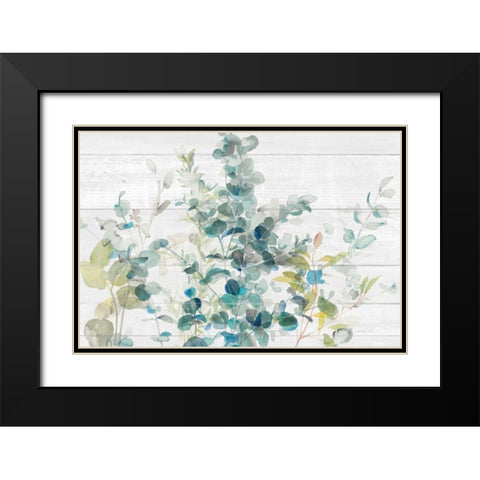 Eucalyptus I on Shiplap Crop Black Modern Wood Framed Art Print with Double Matting by Nai, Danhui