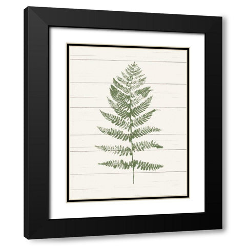 Fern Print II Black Modern Wood Framed Art Print with Double Matting by Hershey, Moira