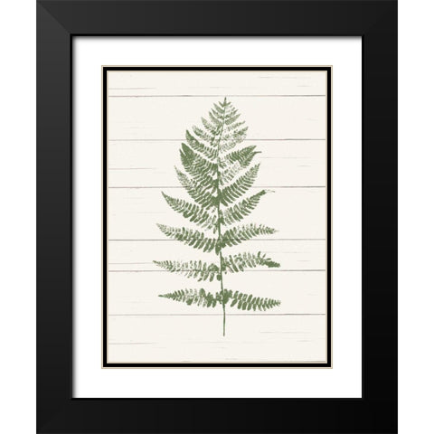 Fern Print II Black Modern Wood Framed Art Print with Double Matting by Hershey, Moira