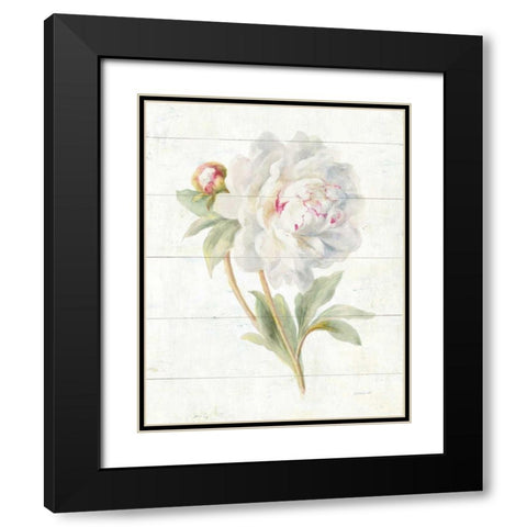 June Blooms II Black Modern Wood Framed Art Print with Double Matting by Nai, Danhui