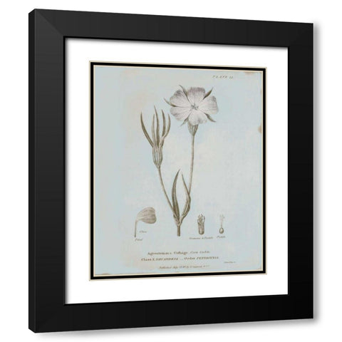 Conversations on Botany III Blue Black Modern Wood Framed Art Print with Double Matting by Wild Apple Portfolio