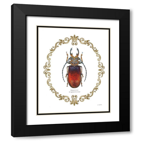 Adorning Coleoptera I Black Modern Wood Framed Art Print with Double Matting by Wiens, James
