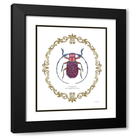 Adorning Coleoptera II Black Modern Wood Framed Art Print with Double Matting by Wiens, James