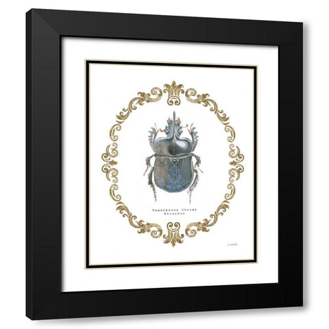 Adorning Coleoptera IV Black Modern Wood Framed Art Print with Double Matting by Wiens, James