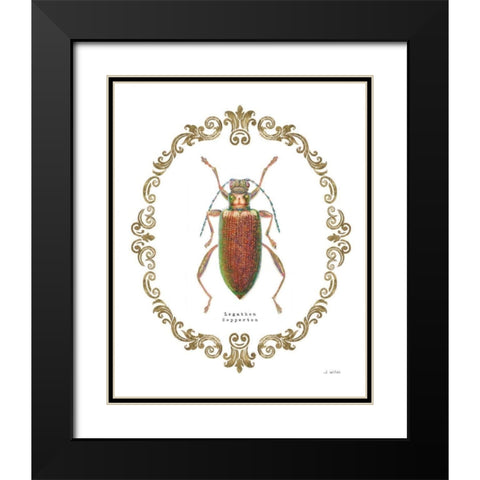 Adorning Coleoptera VI Black Modern Wood Framed Art Print with Double Matting by Wiens, James