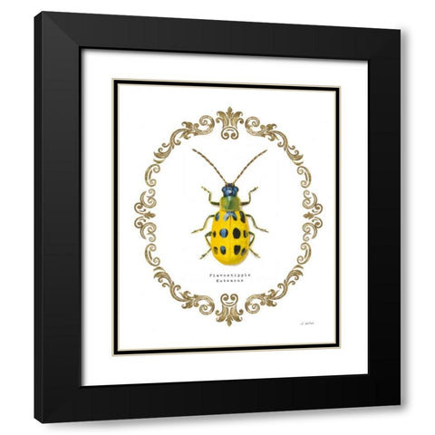 Adorning Coleoptera VII Black Modern Wood Framed Art Print with Double Matting by Wiens, James