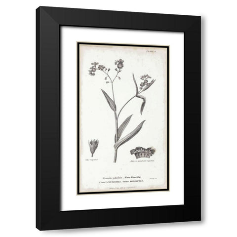 Conversations on Botany I Black Modern Wood Framed Art Print with Double Matting by Wild Apple Portfolio