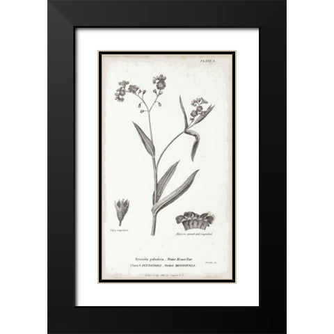 Conversations on Botany I Black Modern Wood Framed Art Print with Double Matting by Wild Apple Portfolio