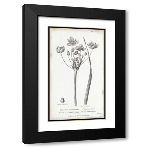 Conversations on Botany II Black Modern Wood Framed Art Print with Double Matting by Wild Apple Portfolio