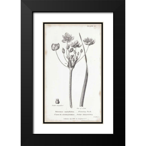 Conversations on Botany II Black Modern Wood Framed Art Print with Double Matting by Wild Apple Portfolio