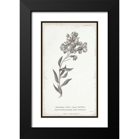 Conversations on Botany VI Black Modern Wood Framed Art Print with Double Matting by Wild Apple Portfolio