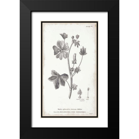 Conversations on Botany VII Black Modern Wood Framed Art Print with Double Matting by Wild Apple Portfolio