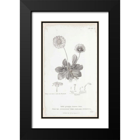 Conversations on Botany IX Black Modern Wood Framed Art Print with Double Matting by Wild Apple Portfolio