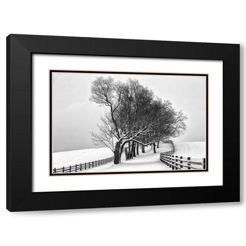 Along the Lane I Black Modern Wood Framed Art Print with Double Matting by Aledanda