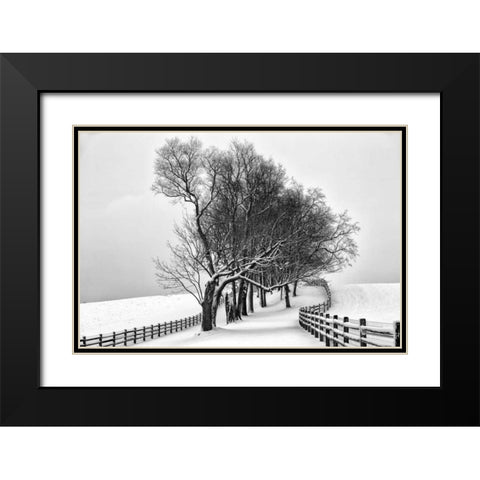 Along the Lane I Black Modern Wood Framed Art Print with Double Matting by Aledanda