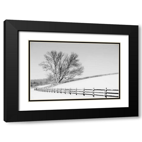 Along the Lane II Black Modern Wood Framed Art Print with Double Matting by Aledanda