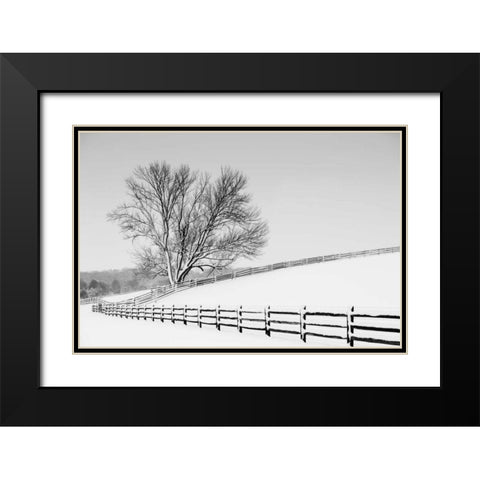Along the Lane II Black Modern Wood Framed Art Print with Double Matting by Aledanda