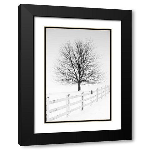 Along the Lane III Black Modern Wood Framed Art Print with Double Matting by Aledanda