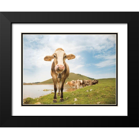 Close Up II Black Modern Wood Framed Art Print with Double Matting by Aledanda