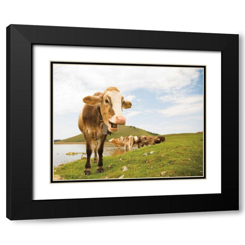 Close Up III Black Modern Wood Framed Art Print with Double Matting by Aledanda