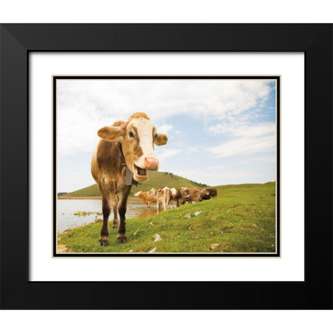 Close Up III Black Modern Wood Framed Art Print with Double Matting by Aledanda