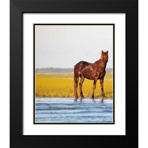 By the River Black Modern Wood Framed Art Print with Double Matting by Aledanda