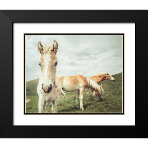 Three Buddies Black Modern Wood Framed Art Print with Double Matting by Aledanda