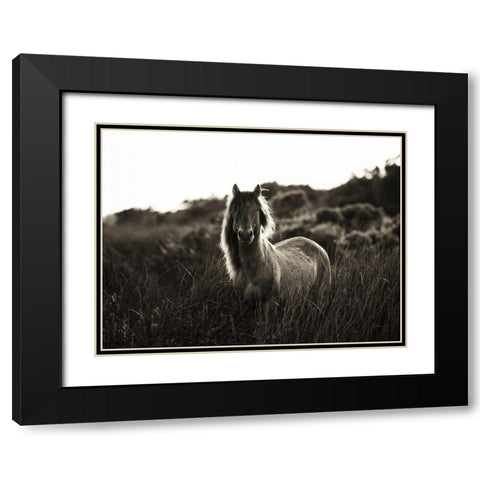 Evening Glow Crop Black Modern Wood Framed Art Print with Double Matting by Aledanda