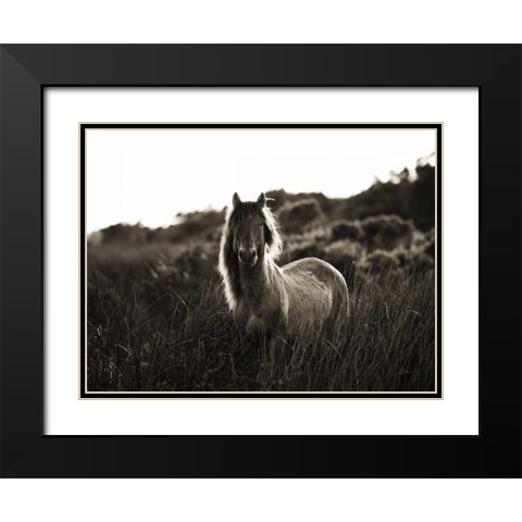 Evening Glow Crop Black Modern Wood Framed Art Print with Double Matting by Aledanda