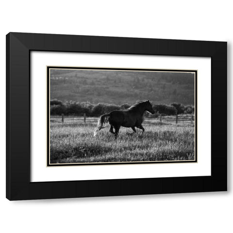 Going Home Black Modern Wood Framed Art Print with Double Matting by Aledanda