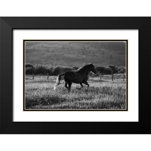 Going Home Black Modern Wood Framed Art Print with Double Matting by Aledanda