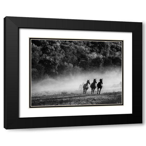 Horse country Black Modern Wood Framed Art Print with Double Matting by Aledanda