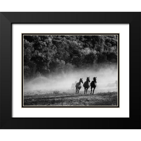 Horse country Black Modern Wood Framed Art Print with Double Matting by Aledanda
