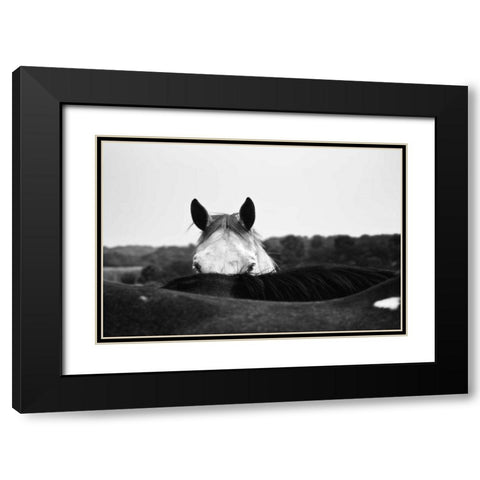 Flirt Black Modern Wood Framed Art Print with Double Matting by Aledanda