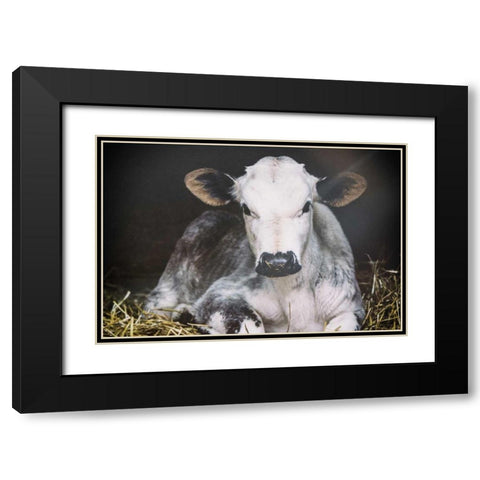 Busy Day Crop Black Modern Wood Framed Art Print with Double Matting by Aledanda