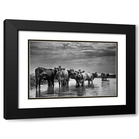 In the River Black Modern Wood Framed Art Print with Double Matting by Aledanda