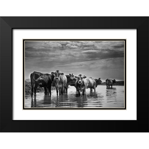 In the River Black Modern Wood Framed Art Print with Double Matting by Aledanda
