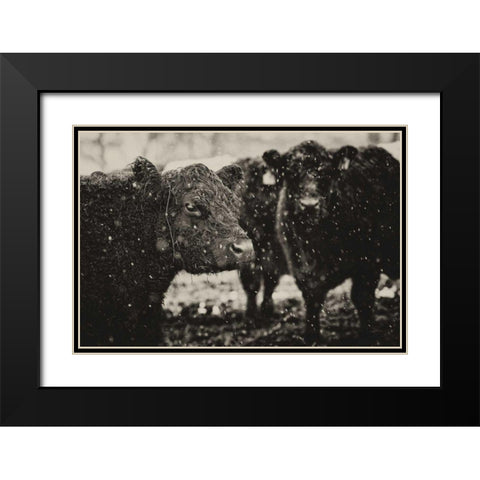 Its Snowing Black Modern Wood Framed Art Print with Double Matting by Aledanda