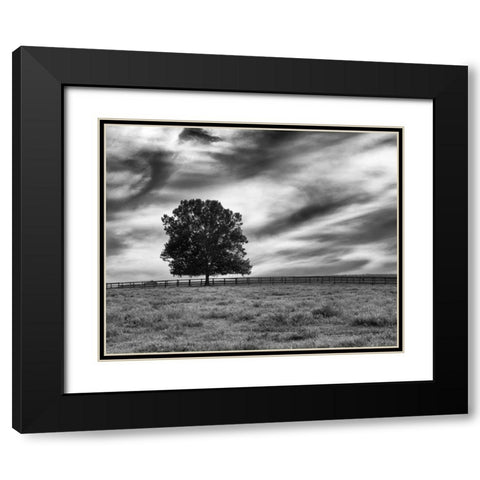 Majestic Crop Black Modern Wood Framed Art Print with Double Matting by Aledanda