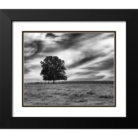 Majestic Crop Black Modern Wood Framed Art Print with Double Matting by Aledanda