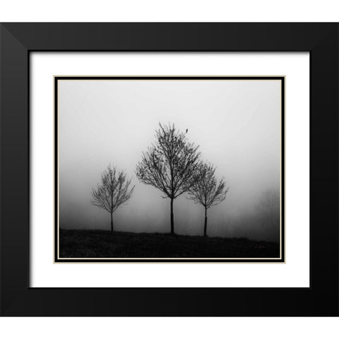 In the Fog Crop Black Modern Wood Framed Art Print with Double Matting by Aledanda