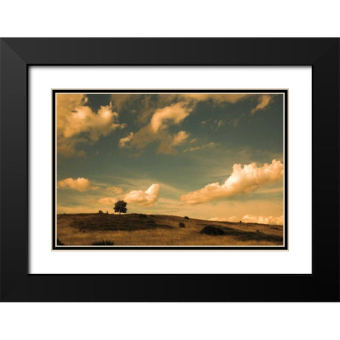 What Beautiful Clouds Black Modern Wood Framed Art Print with Double Matting by Aledanda
