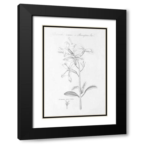 Botany Book IX Black Modern Wood Framed Art Print with Double Matting by Wild Apple Portfolio