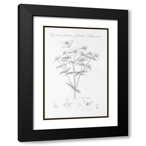 Botany Book X Black Modern Wood Framed Art Print with Double Matting by Wild Apple Portfolio