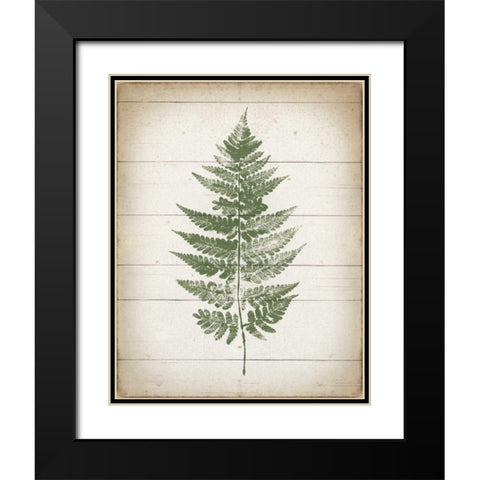 Fern Print I v2 Black Modern Wood Framed Art Print with Double Matting by Hershey, Moira